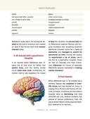 Great Russians: читаем и говорим на английском. 20 историй о гениях России — фото, картинка — 9