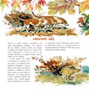 Хочу всё знать о животных — фото, картинка — 7