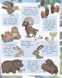 Приключения на горных вершинах. Книжка с наклейками — фото, картинка — 3