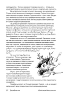 Уклады — фото, картинка — 24