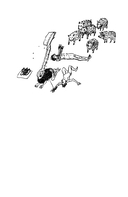 Уклады — фото, картинка — 27