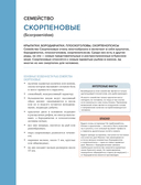 Рыбы коралловых рифов — фото, картинка — 16