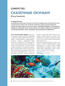 Рыбы коралловых рифов — фото, картинка — 11