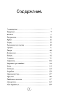 Два сапога. Книга о настоящей, невероятной и несносной любви — фото, картинка — 4