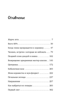 Кошка из мастерской — фото, картинка — 5