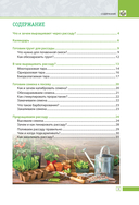 Рассада без ошибок. Как вырастить богатый урожай своими руками — фото, картинка — 3