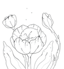 Мурчащие сны. Самая комфортная раскраска про котиков и цветы — фото, картинка — 2