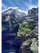 Энциклопедия. Курильские острова — фото, картинка — 4