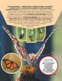 Большая энциклопедия о насекомых. 500 фотографий и фактов — фото, картинка — 11