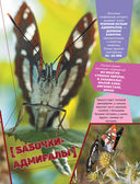 Большая энциклопедия о насекомых. 500 фотографий и фактов — фото, картинка — 13