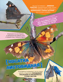 Большая энциклопедия о насекомых. 500 фотографий и фактов — фото, картинка — 14