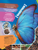 Большая энциклопедия о насекомых. 500 фотографий и фактов — фото, картинка — 4