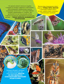 Большая энциклопедия о насекомых. 500 фотографий и фактов — фото, картинка — 5