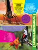 Большая энциклопедия о насекомых. 500 фотографий и фактов — фото, картинка — 6