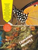 Большая энциклопедия о насекомых. 500 фотографий и фактов — фото, картинка — 10