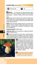 Лесной гид. Грибы, ягоды, травы — фото, картинка — 17