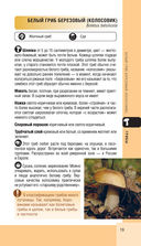 Лесной гид. Грибы, ягоды, травы — фото, картинка — 18