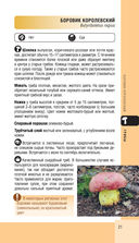 Лесной гид. Грибы, ягоды, травы — фото, картинка — 20