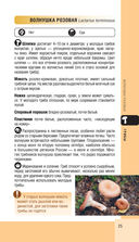 Лесной гид. Грибы, ягоды, травы — фото, картинка — 24