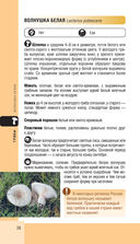 Лесной гид. Грибы, ягоды, травы — фото, картинка — 25