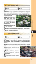 Лесной гид. Грибы, ягоды, травы — фото, картинка — 26