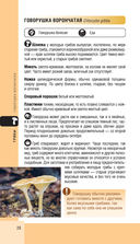 Лесной гид. Грибы, ягоды, травы — фото, картинка — 27