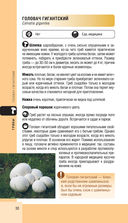 Лесной гид. Грибы, ягоды, травы — фото, картинка — 29