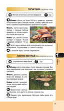 Лесной гид. Грибы, ягоды, травы — фото, картинка — 30