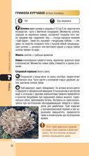 Лесной гид. Грибы, ягоды, травы — фото, картинка — 31