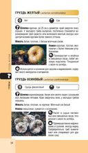 Лесной гид. Грибы, ягоды, травы — фото, картинка — 33