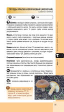 Лесной гид. Грибы, ягоды, травы — фото, картинка — 34