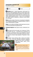 Лесной гид. Грибы, ягоды, травы — фото, картинка — 37