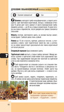 Лесной гид. Грибы, ягоды, травы — фото, картинка — 39