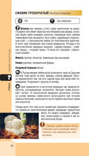 Лесной гид. Грибы, ягоды, травы — фото, картинка — 41