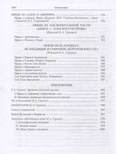 Исландские пряди — фото, картинка — 13