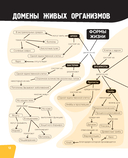 Тело человека. Самая анатомическая энциклопедия — фото, картинка — 12