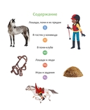 Лошади — фото, картинка — 1