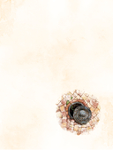 Вуаль. Том 1 — фото, картинка — 11