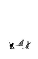 Не моргай! Выпуск 1 — фото, картинка — 6