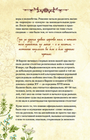 Дневник современной ведьмы: для записей, списков дел, мыслей, обрядов, рецептов и самоанализа (зеленый) — фото, картинка — 19