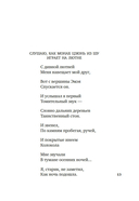 Встречи у Серебряной Реки. Поэты эпохи Тан: Ли Бо, Ду Фу, Ван Вэй — фото, картинка — 10