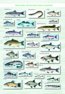 Атлас охотника и рыболова. Гомельская область — фото, картинка — 3