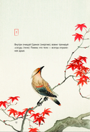 Энергии Вселенной, несущие Свет и Тепло. 101 послание, которое поможет в нужную минуту — фото, картинка — 12