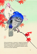 Энергии Вселенной, несущие Свет и Тепло. 101 послание, которое поможет в нужную минуту — фото, картинка — 13