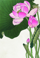 Энергии Вселенной, несущие Свет и Тепло. 101 послание, которое поможет в нужную минуту — фото, картинка — 5