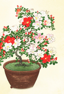 Энергии Вселенной, несущие Свет и Тепло. 101 послание, которое поможет в нужную минуту — фото, картинка — 10