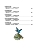 Кощей Бессмертный. Русские народные сказки — фото, картинка — 3