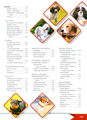 Большая энциклопедия о кошках и собаках — фото, картинка — 2