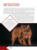 Большая энциклопедия о кошках и собаках — фото, картинка — 13