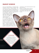 Большая энциклопедия о кошках и собаках — фото, картинка — 5